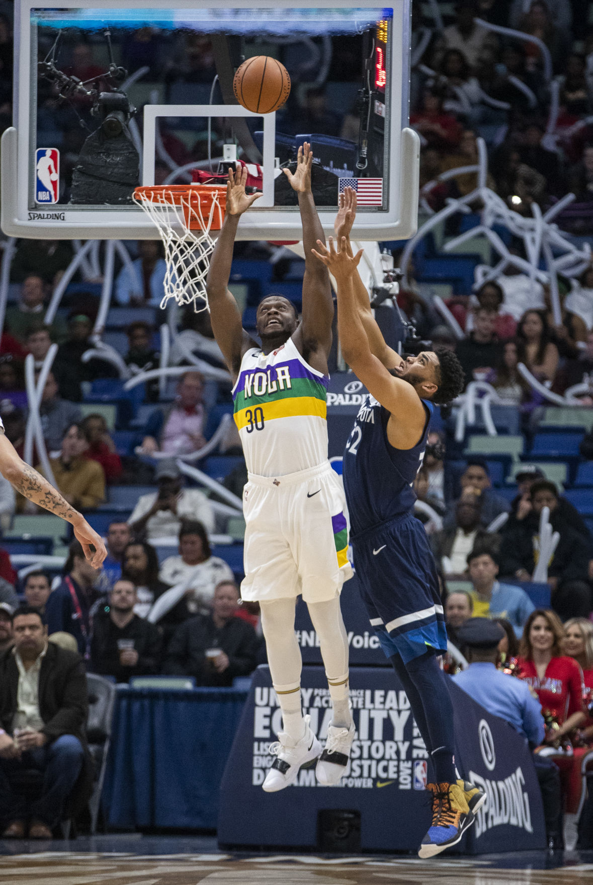 NO.pelicanwolves.020819.05.JPG